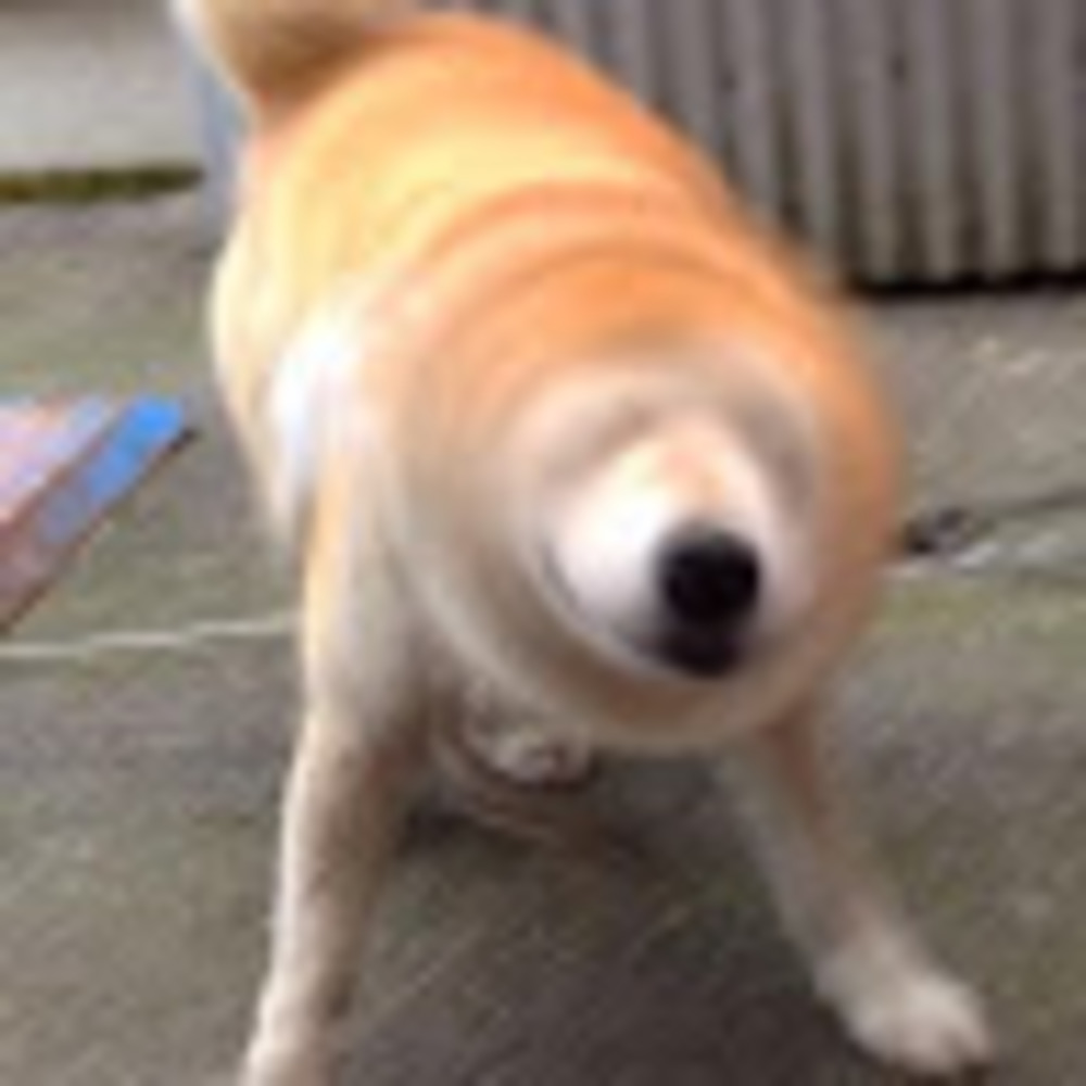 Meet your Posher, Saravana